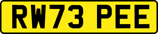 RW73PEE