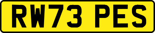 RW73PES