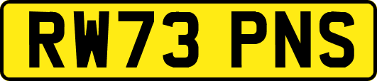 RW73PNS