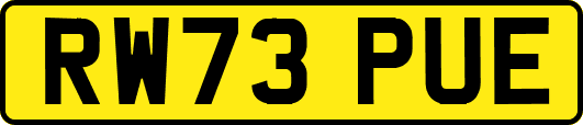 RW73PUE