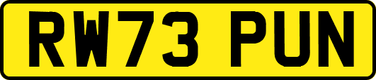 RW73PUN
