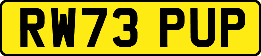 RW73PUP