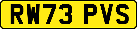 RW73PVS