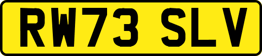 RW73SLV