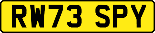 RW73SPY