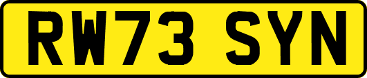 RW73SYN