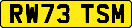 RW73TSM