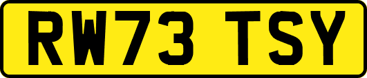 RW73TSY