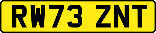RW73ZNT