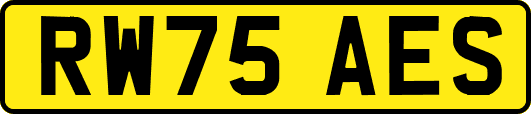 RW75AES