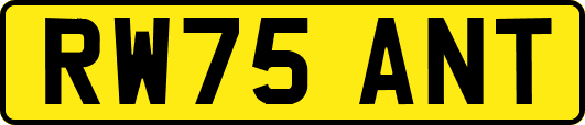 RW75ANT