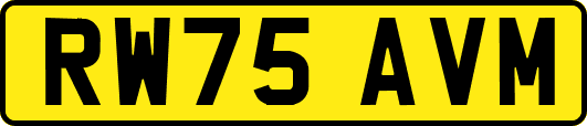 RW75AVM