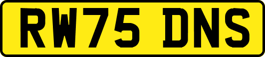 RW75DNS