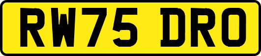 RW75DRO