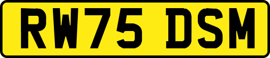 RW75DSM