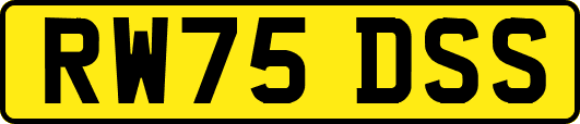 RW75DSS