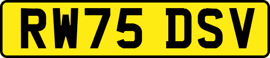 RW75DSV