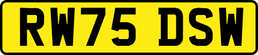 RW75DSW