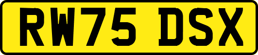 RW75DSX