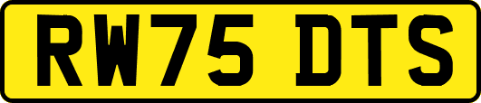 RW75DTS