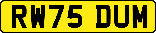 RW75DUM