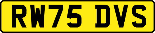 RW75DVS