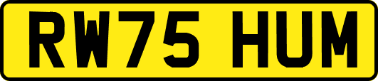 RW75HUM