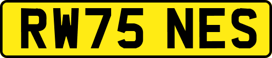 RW75NES