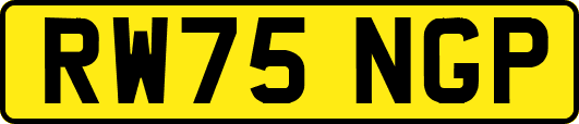 RW75NGP