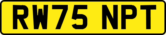RW75NPT