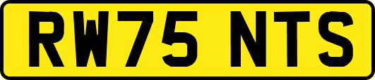 RW75NTS