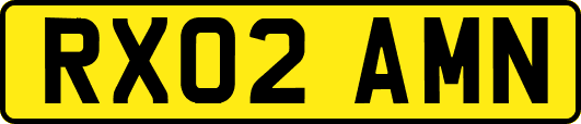 RX02AMN