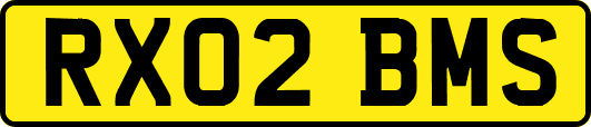 RX02BMS