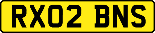 RX02BNS