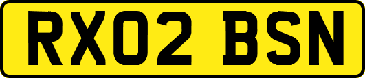 RX02BSN