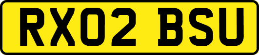 RX02BSU
