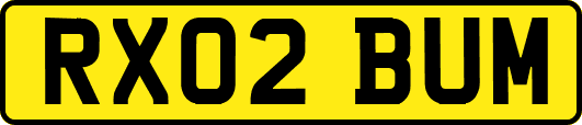 RX02BUM