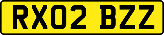 RX02BZZ