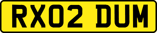 RX02DUM