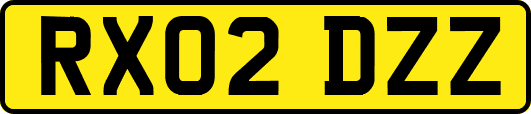 RX02DZZ