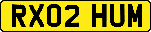 RX02HUM