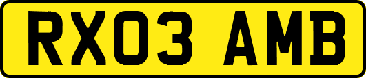 RX03AMB