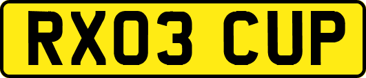 RX03CUP