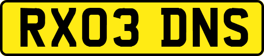 RX03DNS