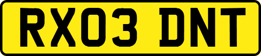 RX03DNT
