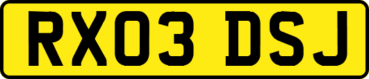RX03DSJ