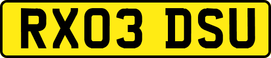 RX03DSU