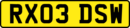 RX03DSW