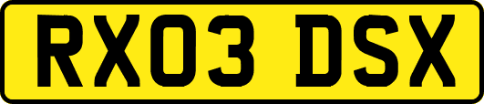 RX03DSX