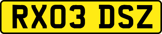 RX03DSZ